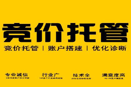 SEM优化实战案例：效果提升策略